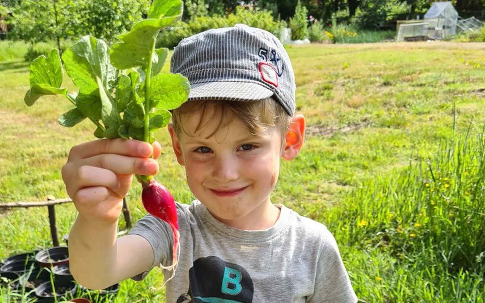 Young boy at York St John Allotment 