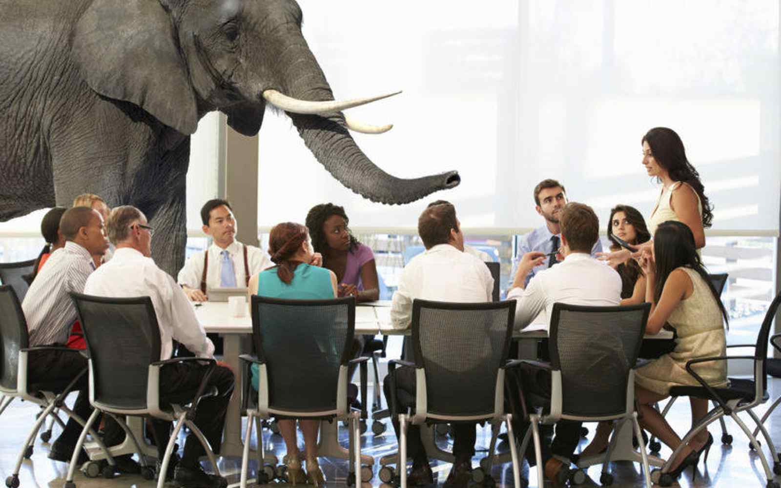 elephant in boardroom 