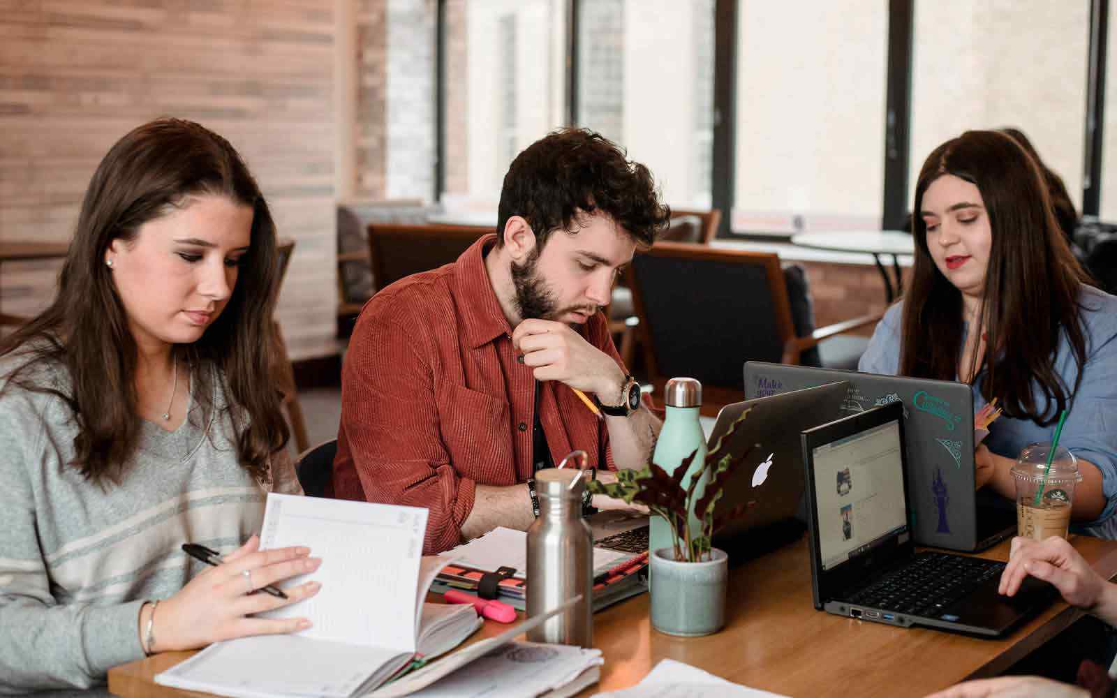Study group working at table