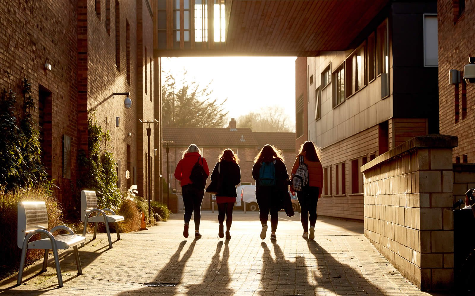 Silhouette of students