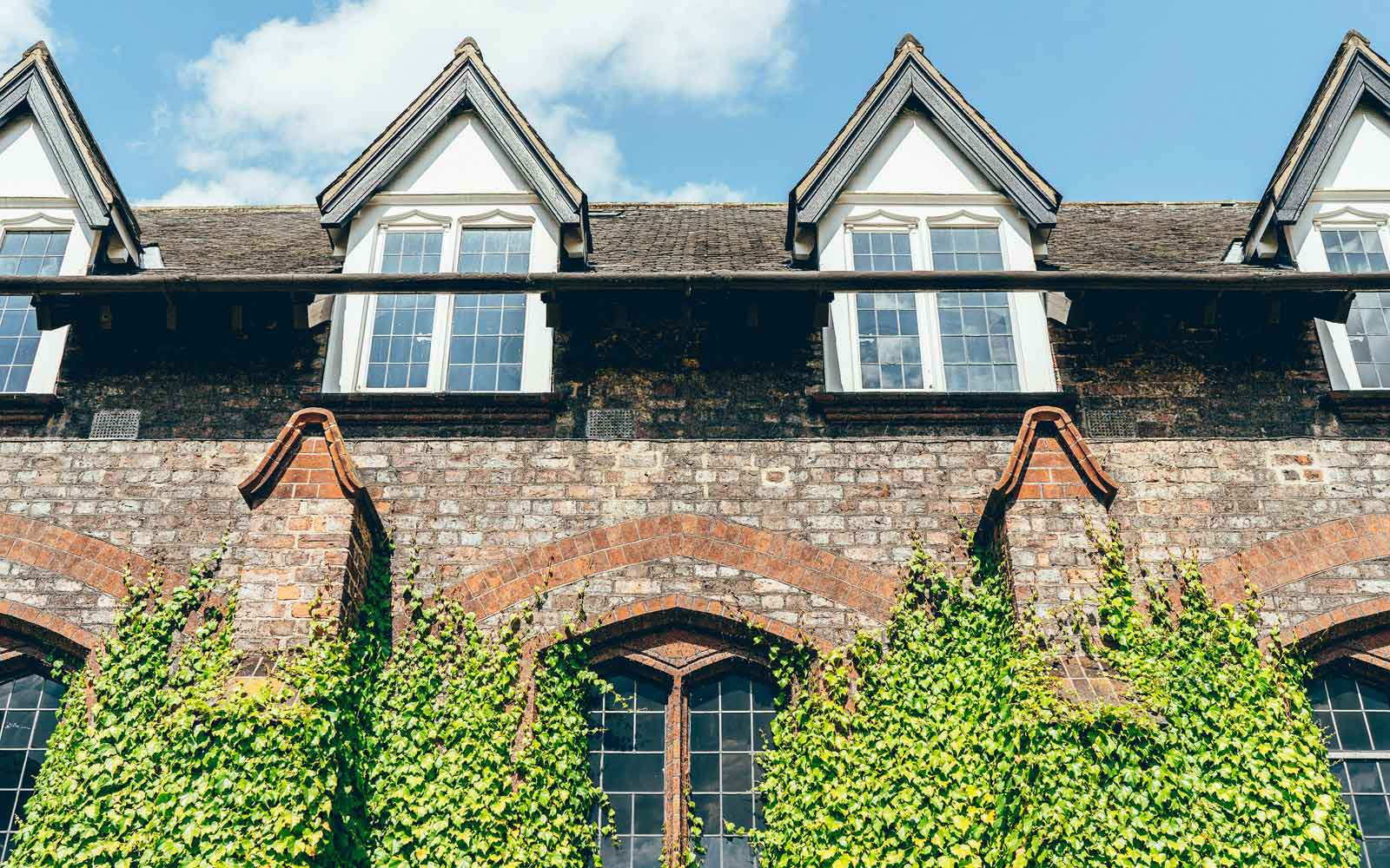 Brick building in quad with ivy growing up the side