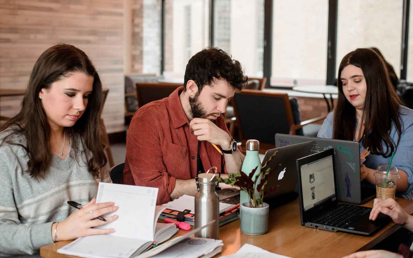 Study group working at table