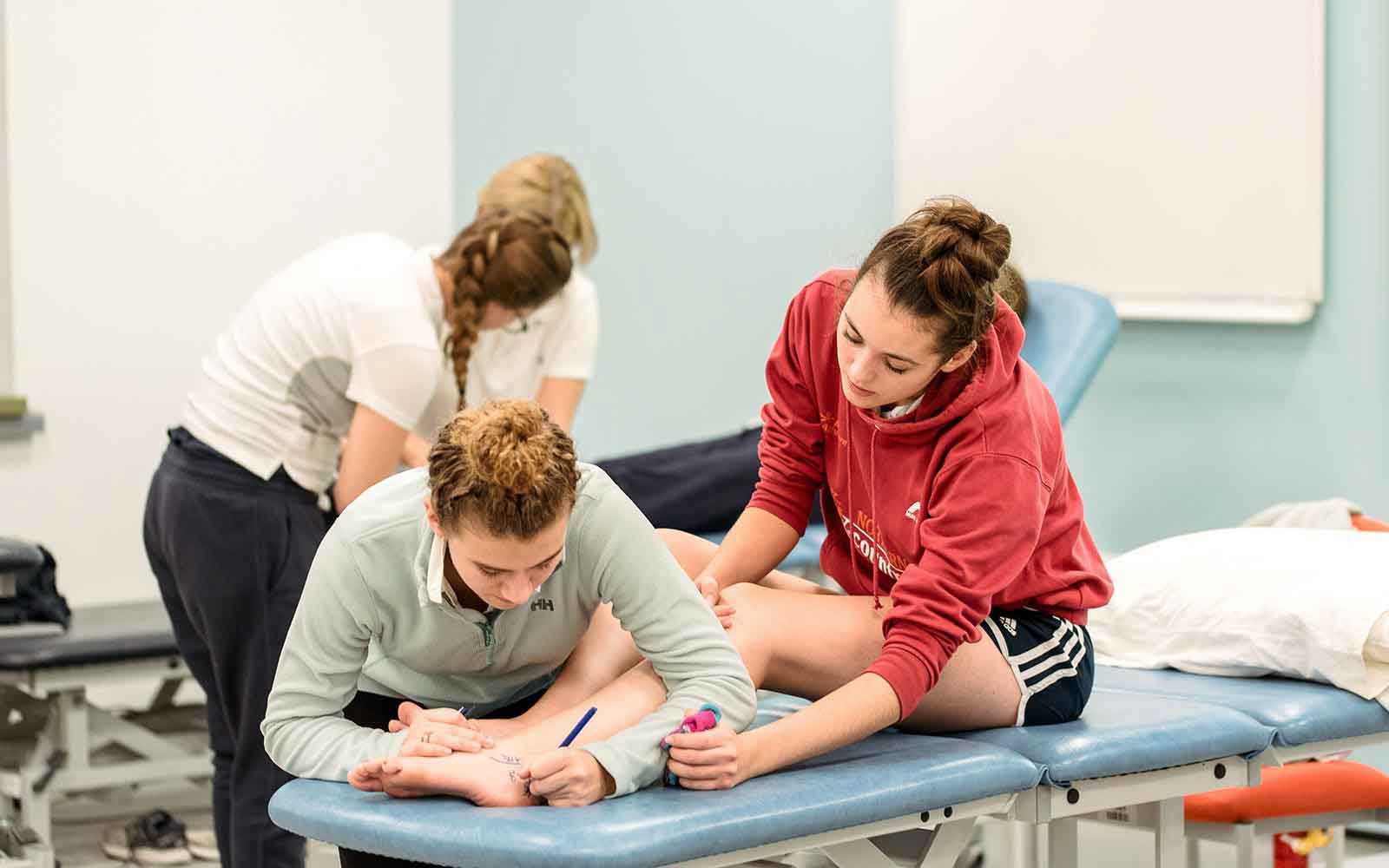 students conducting practical work
