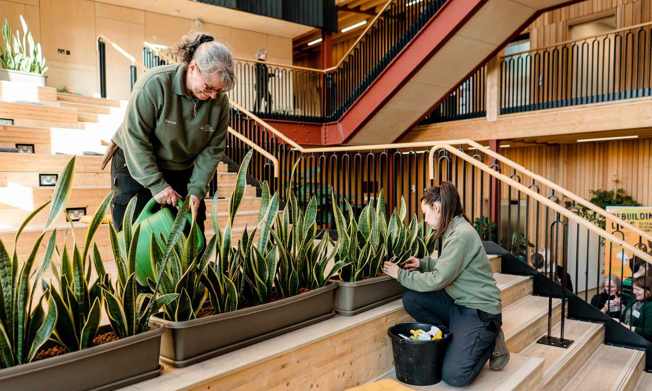 Two members of the grounds team tend to plants in the Creative Centre. 