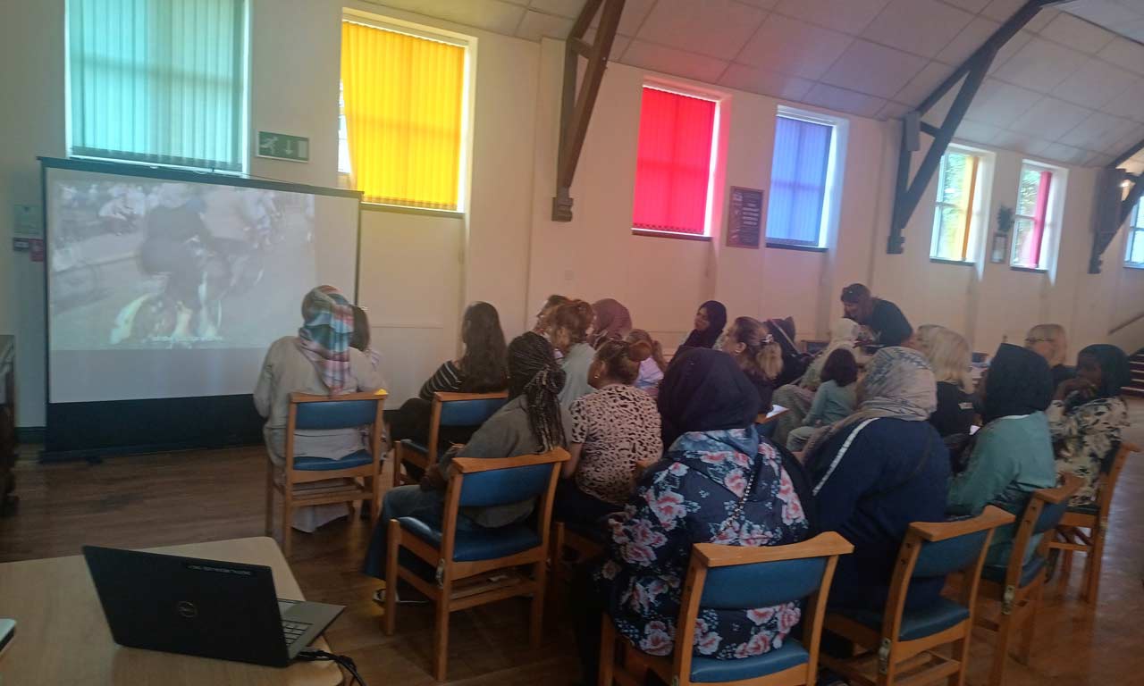 Community screening event, audience watching Women in York short film. 