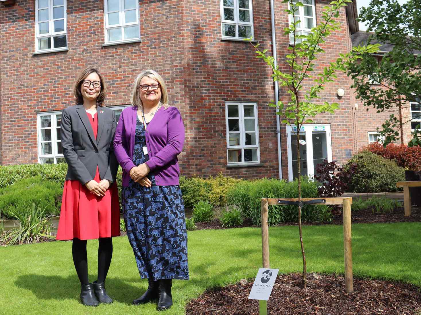 Two smiling females standing next to a Sakura tree sapling 