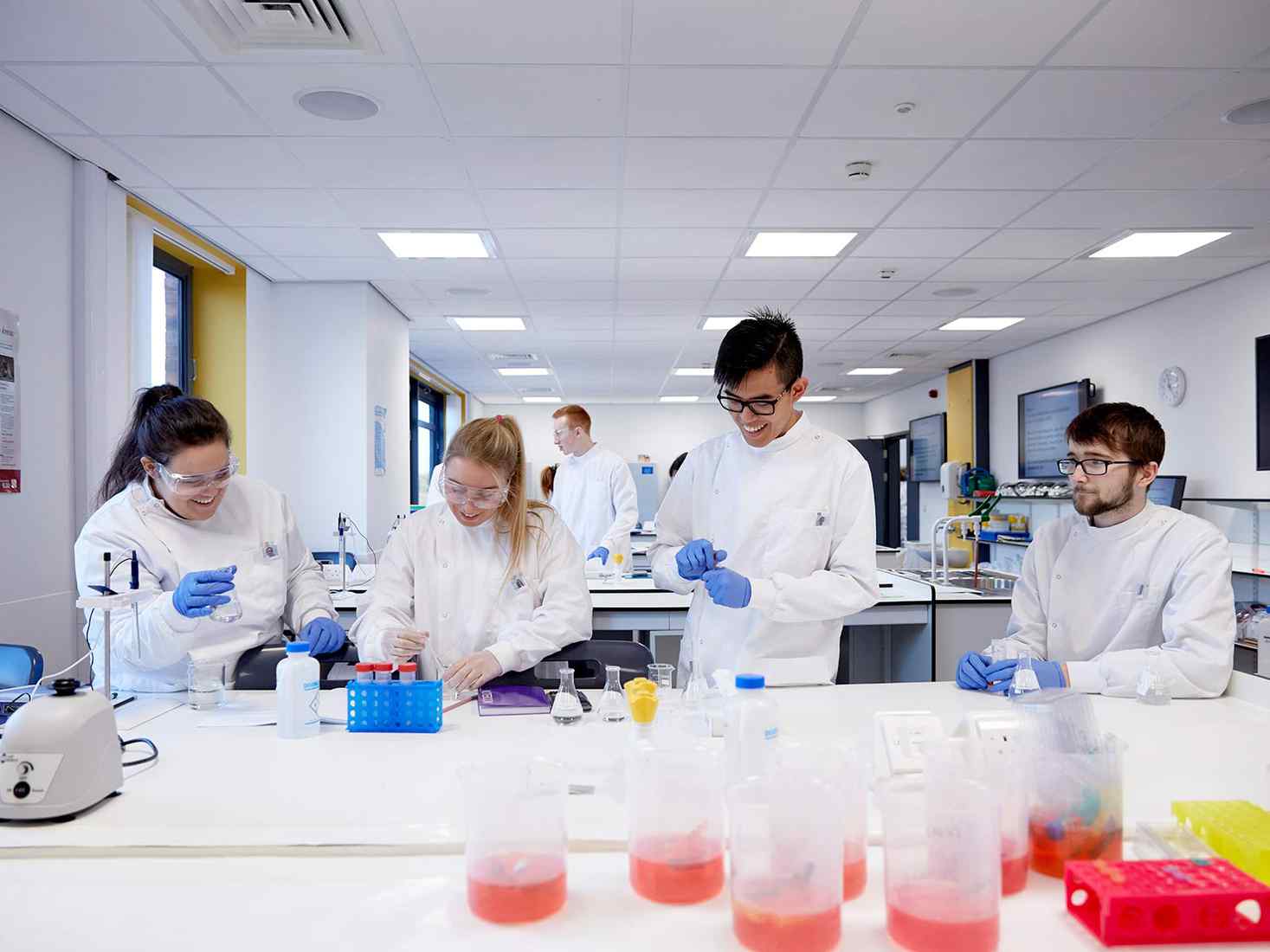 Four students in the biomed science lab 
