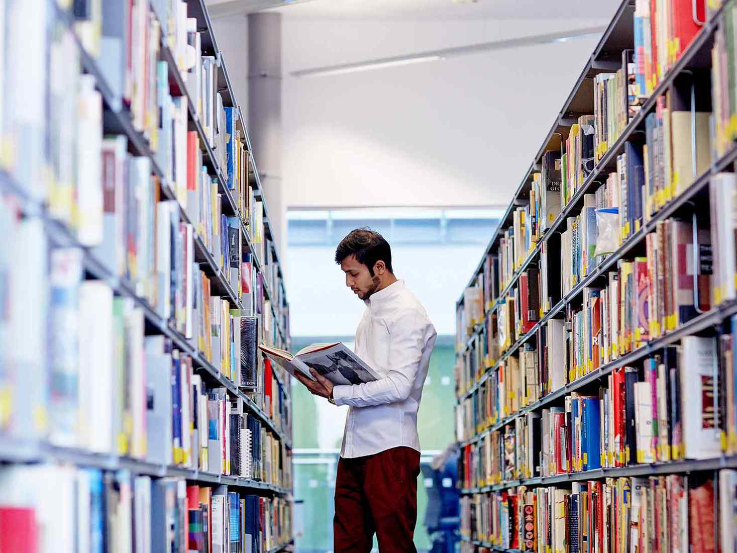 Student reading in the library 