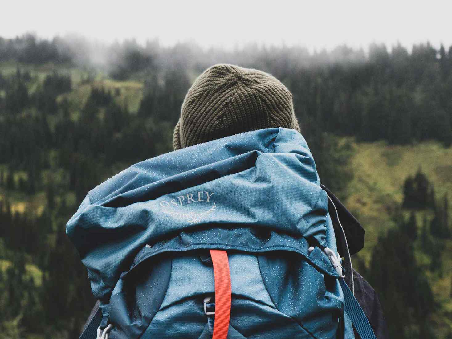 Student facing the landscape with a backpack 