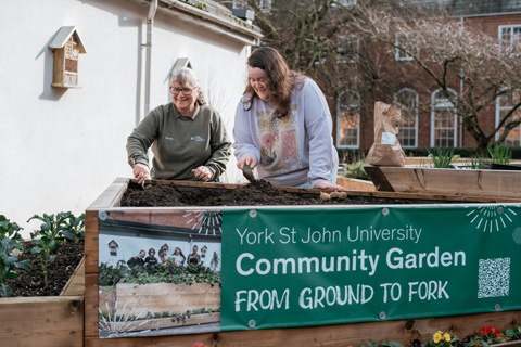 People digging in a raised garden bed at York St John University York Campus. 