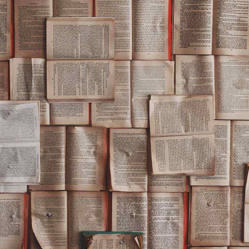 Overhead view of many open books. 