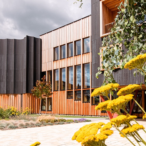 Creative centre flowers 