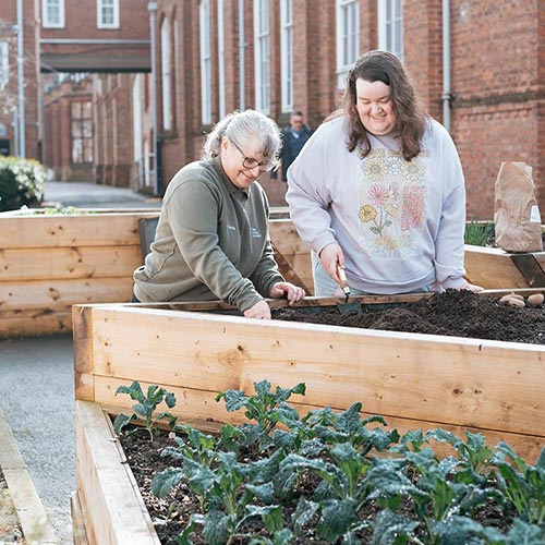 Student working with member of gardening team to add plants to raised beds 